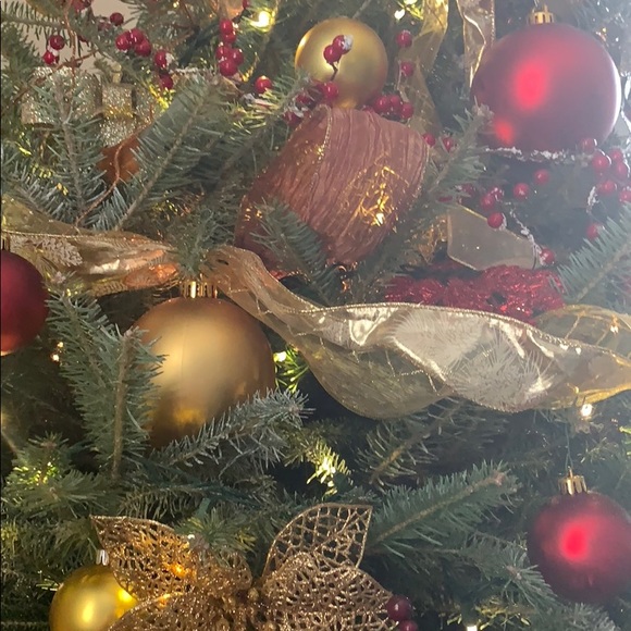 Meet your Posher, Natalya - Picture 1 of 1